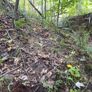 Photo #36 of Off of Park Springs Road, Ruffin, NC 26.4 acres