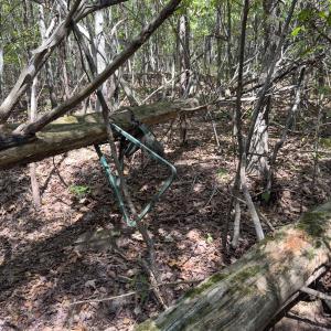 Photo #37 of Off of Park Springs Road, Ruffin, NC 26.4 acres