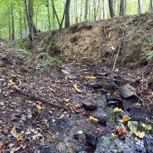 Photo #39 of Off of Park Springs Road, Ruffin, NC 26.4 acres