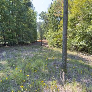 Photo #40 of Off of Park Springs Road, Ruffin, NC 26.4 acres