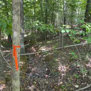 Photo #42 of Off of Park Springs Road, Ruffin, NC 26.4 acres