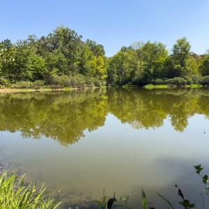 Photo #44 of Off of Park Springs Road, Ruffin, NC 26.4 acres