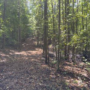 Photo #45 of Off of Park Springs Road, Ruffin, NC 26.4 acres