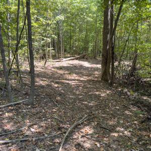 Photo #46 of Off of Park Springs Road, Ruffin, NC 26.4 acres