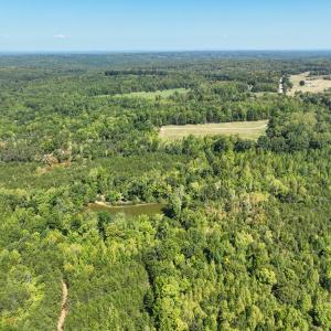 Photo #47 of Off of Park Springs Road, Ruffin, NC 26.4 acres