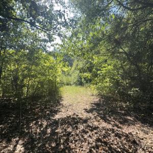 Photo #26 of Off of Flat Swamp Rd, Denton, NC 18.5 acres
