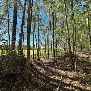 Photo #11 of Off of Benefit Rd, Chesapeake, VA 42.4 acres