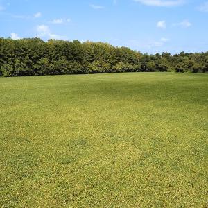 Photo #12 of Off of Benefit Rd, Chesapeake, VA 42.4 acres