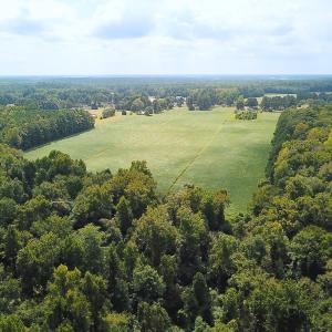 Photo #13 of Off of Benefit Rd, Chesapeake, VA 42.4 acres