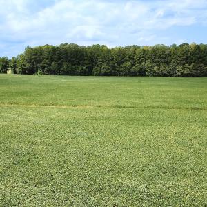 Photo #14 of Off of Benefit Rd, Chesapeake, VA 42.4 acres