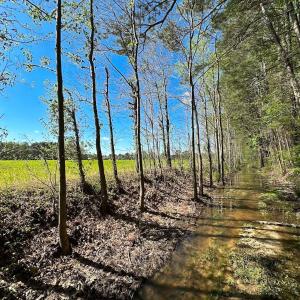 Photo #16 of Off of Benefit Rd, Chesapeake, VA 42.4 acres