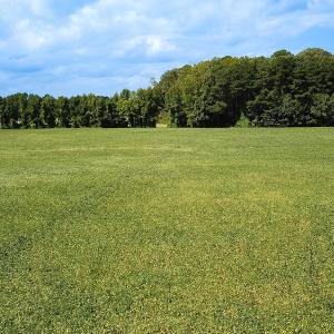 Photo #18 of Off of Benefit Rd, Chesapeake, VA 42.4 acres