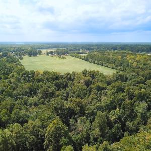 Photo #19 of Off of Benefit Rd, Chesapeake, VA 42.4 acres