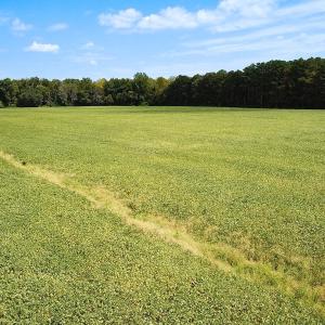 Photo #20 of Off of Benefit Rd, Chesapeake, VA 42.4 acres