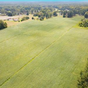 Photo #21 of Off of Benefit Rd, Chesapeake, VA 42.4 acres
