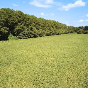 Photo #22 of Off of Benefit Rd, Chesapeake, VA 42.4 acres
