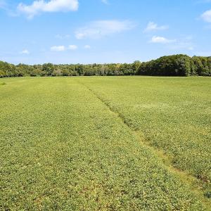 Photo #23 of Off of Benefit Rd, Chesapeake, VA 42.4 acres