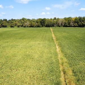 Photo #3 of Off of Benefit Rd, Chesapeake, VA 42.4 acres
