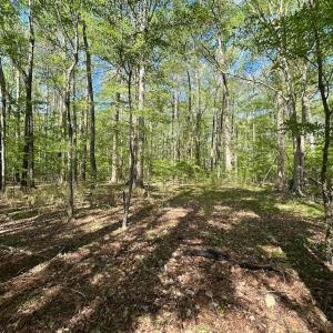 Photo #5 of Off of Benefit Rd, Chesapeake, VA 42.4 acres