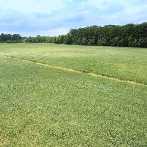 Photo #6 of Off of Benefit Rd, Chesapeake, VA 42.4 acres