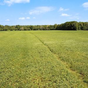 Photo #8 of Off of Benefit Rd, Chesapeake, VA 42.4 acres