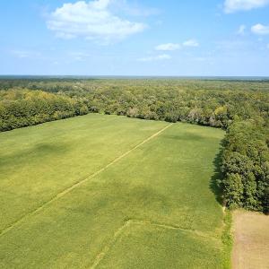Photo #9 of Off of Benefit Rd, Chesapeake, VA 42.4 acres