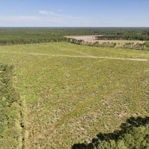 Photo #10 of SR 1217, Gates, NC 96.9 acres