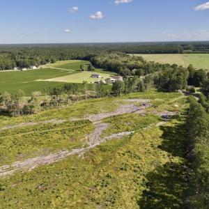 Photo #11 of SR 1217, Gates, NC 96.9 acres