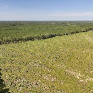 Photo #12 of SR 1217, Gates, NC 96.9 acres