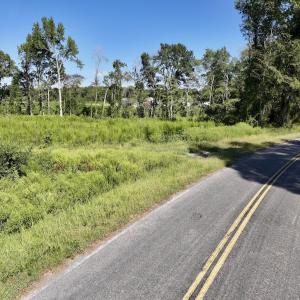 Photo #13 of SR 1217, Gates, NC 96.9 acres