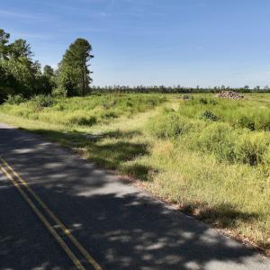 Photo #14 of SR 1217, Gates, NC 96.9 acres