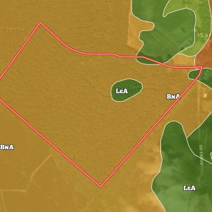 Photo #15 of SR 1217, Gates, NC 96.9 acres