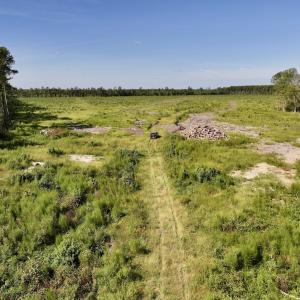 Photo #16 of SR 1217, Gates, NC 96.9 acres