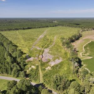 Photo #1 of SR 1217, Gates, NC 96.9 acres