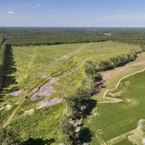 Photo #2 of SR 1217, Gates, NC 96.9 acres