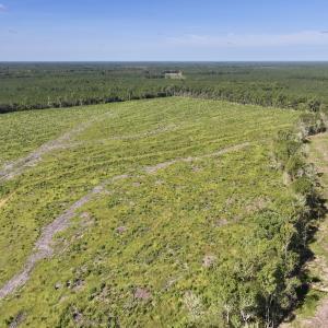 Photo #3 of SR 1217, Gates, NC 96.9 acres