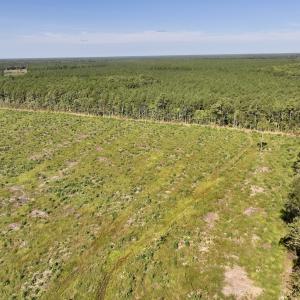 Photo #4 of SR 1217, Gates, NC 96.9 acres