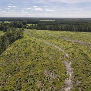 Photo #5 of SR 1217, Gates, NC 96.9 acres