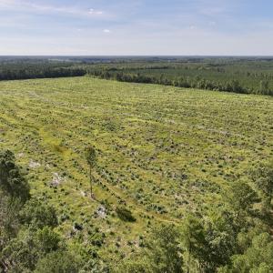 Photo #6 of SR 1217, Gates, NC 96.9 acres