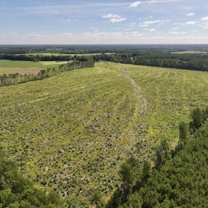 Photo #7 of SR 1217, Gates, NC 96.9 acres
