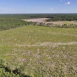 Photo #8 of SR 1217, Gates, NC 96.9 acres