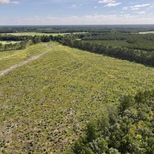 Photo #9 of SR 1217, Gates, NC 96.9 acres