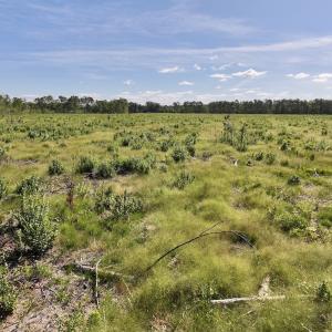 Photo #26 of SR 1217, Gates, NC 96.9 acres