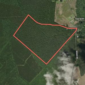 Photo #29 of SR 1217, Gates, NC 96.9 acres