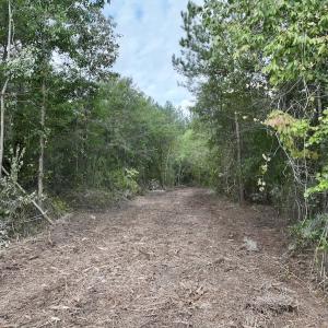 Photo #11 of Off of Cupelo Rd, Walstonburg, NC 14.8 acres