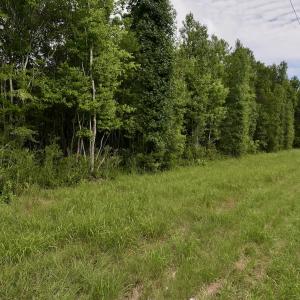 Photo #12 of Off of Cupelo Rd, Walstonburg, NC 14.8 acres