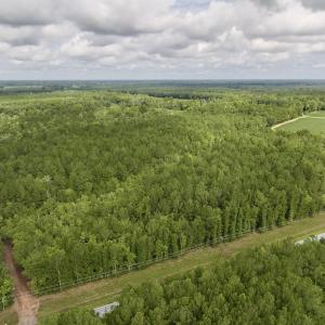Photo #2 of Off of Cupelo Rd, Walstonburg, NC 14.8 acres