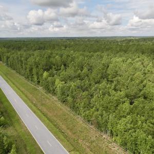 Photo #3 of Off of Cupelo Rd, Walstonburg, NC 14.8 acres