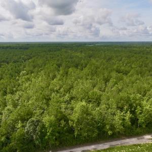Photo #4 of Off of Cupelo Rd, Walstonburg, NC 14.8 acres