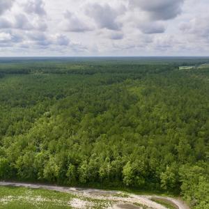 Photo #5 of Off of Cupelo Rd, Walstonburg, NC 14.8 acres